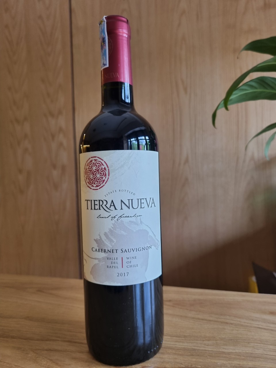 Rượu vang TIERRA NUEVA Tradicion Cabernet 14% Chile Wine