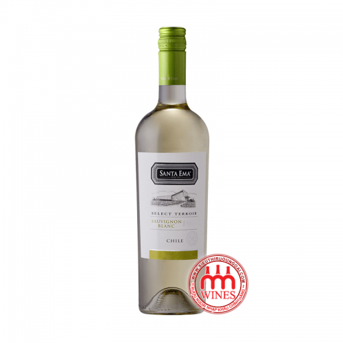 VANG SANTA EMA SAUVIGNON BLANC - CHILE WHITE WINE