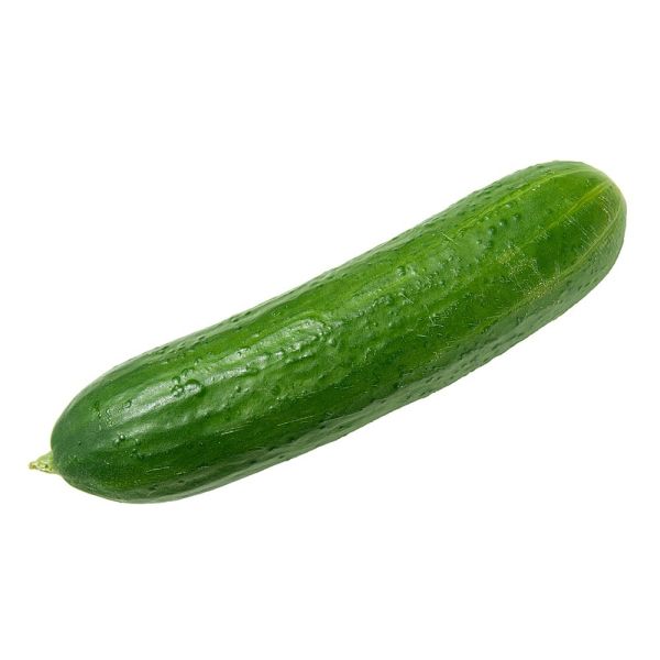 Fresh Cucumber